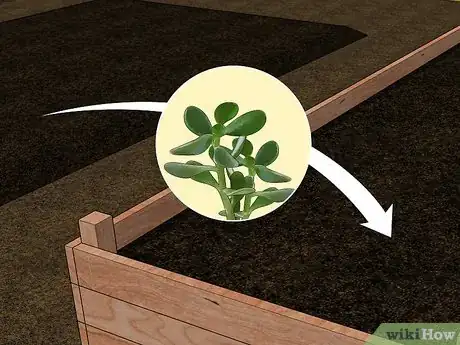 Image titled Kill Nematodes Step 8