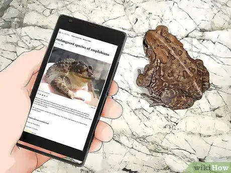 Image titled Get Rid of Toads in Your Yard Step 10