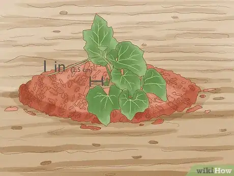 Image titled Prepare Garden Mulch Step 5