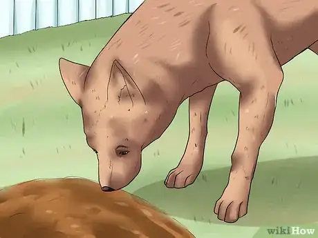 Image titled Adopt a Retired Police Dog Step 11