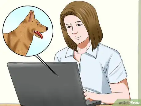 Image titled Adopt a Retired Police Dog Step 12