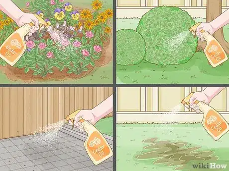 Image titled Mix Cedar Oil for Pest Control Step 3