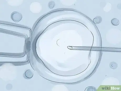 Image titled Increase Estrogen Levels for Fertility Step 11