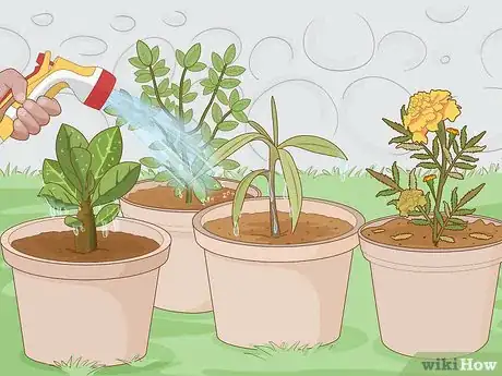 Image titled Get Rid of Plant Mites Step 8