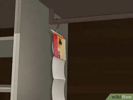 Image titled Get Rid of Moth Worms Step 18