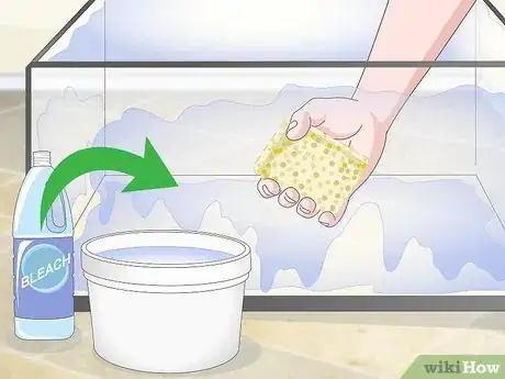 Image titled Quarantine Freshwater Fish Step 10