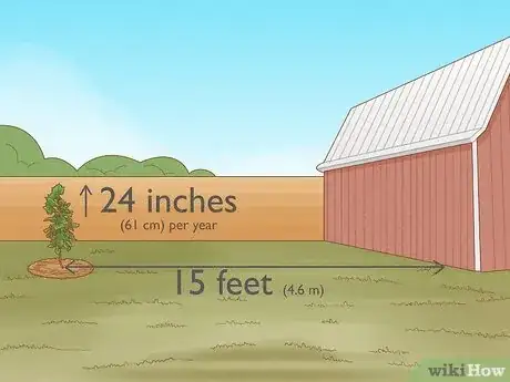 Image titled Plant Sycamore Tree Seeds Step 8