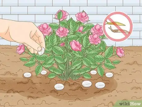 Image titled Grow Healthy Plants Step 10