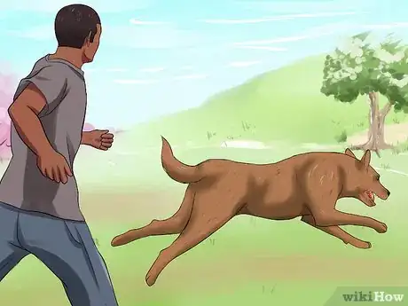 Image titled Adopt a Retired Police Dog Step 9