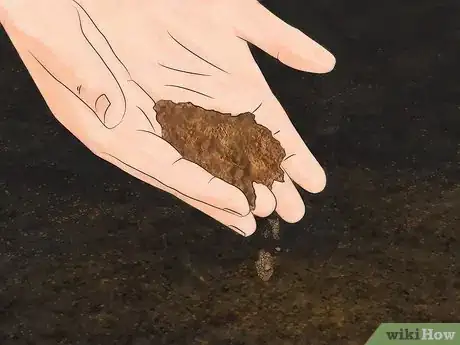 Image titled Prepare Garden Soil for Tomatoes Step 4