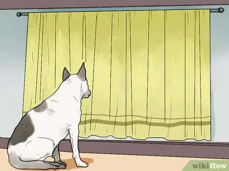 Image titled Stop Your Dog from Barking at Strangers Step 4