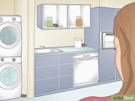 Image titled Tell How Many Rats Are in Your House Step 7