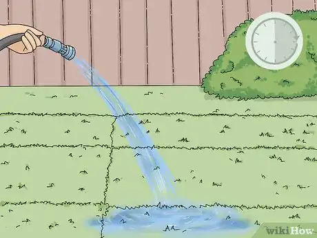 Image titled Take Care of Sod Step 3