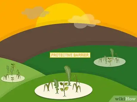 Image titled Remove Weeds from a Lawn Step 08