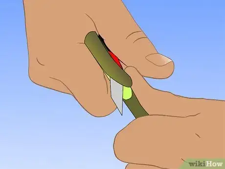 Image titled Graft Grape Vine Step 7