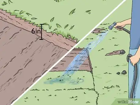 Image titled Take Care of Sod Step 1