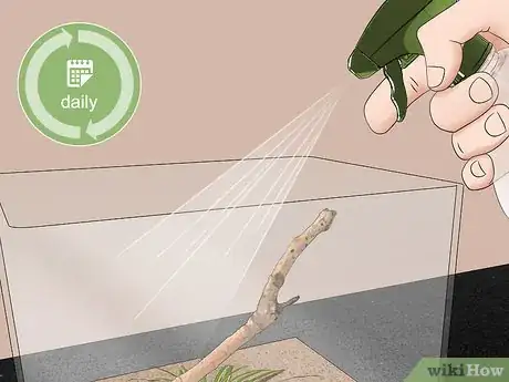 Image titled Take Care of a Katydid Insect Step 5