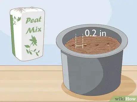 Image titled Propagate Pitcher Plants Step 17