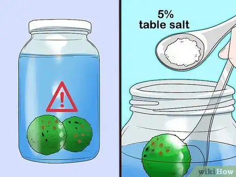 Image titled Care for Marimos Step 9