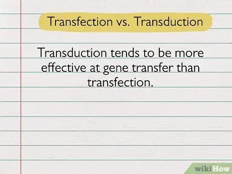 Image titled Transfection vs Transduction Step 2