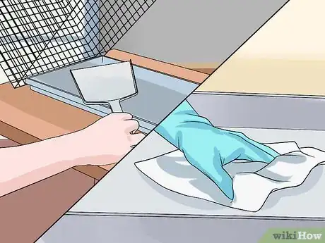 Image titled Breed Syrian Hamsters Step 19