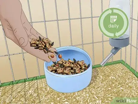 Image titled Feed a Gerbil Step 6