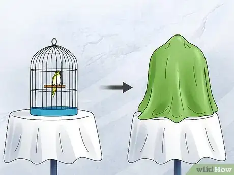 Image titled Keep Pets Warm During a Power Outage Step 7