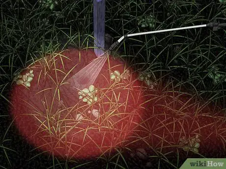 Image titled Find a European Wasp Nest Step 15