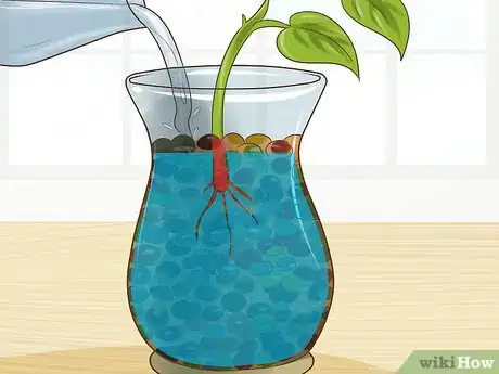 Image titled Clone Pothos Step 13