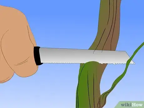 Image titled Graft Grape Vine Step 10