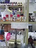 Pathobiology Laboratory