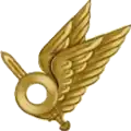 2016 to present badge of Ukrainian aviation