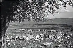Qadas 1939