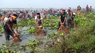 Crowd fishing with traditional conical bamboo traps