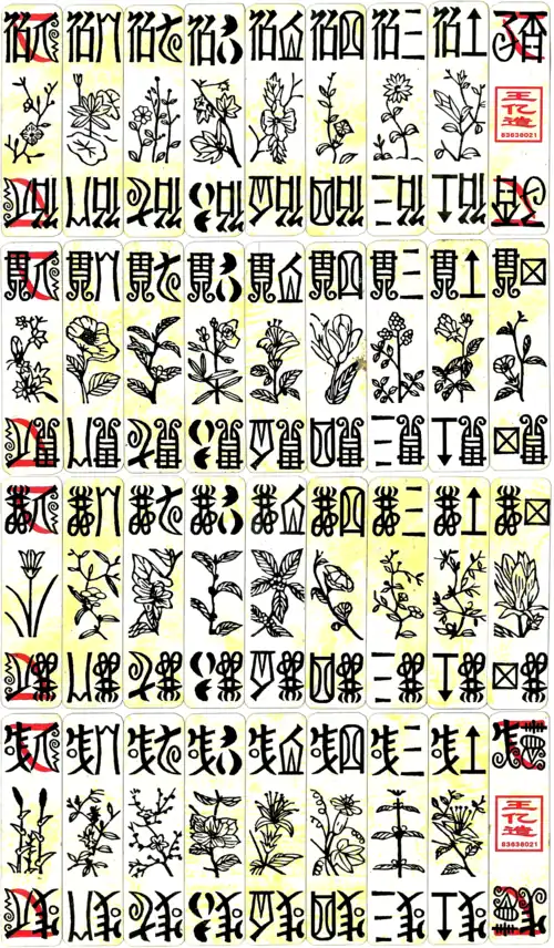 Sichuan Six Tigers coin suit