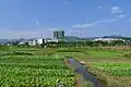 Fields in Shaoguan