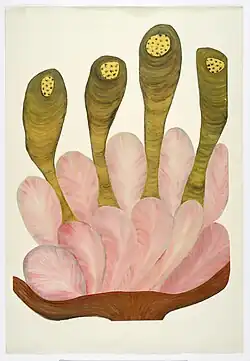 Homage to Picasso, tempera and ink, 1960s