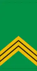 Sergent-chef (Mali Army)[12]