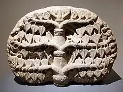 Bodhi tree photograph from the Bangkok National Museum, Thailand