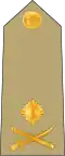 Major general (Kenya Army)[37]