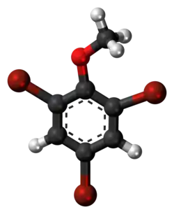Ball-and-stick model of the 2,4,6-tribromoanisole molecule