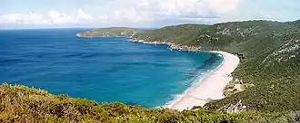 Looking across Shelley Beach to Torbay Head