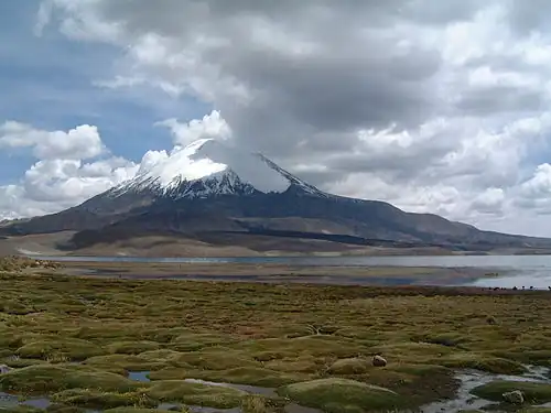 Parinacota and Chungará Lake