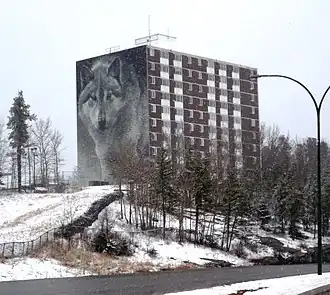 Spirit Way wolf mural on the side of the Highland Tower