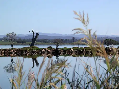 Mitchell River silt jetties, with the river in the foreground and Lake King in the distance