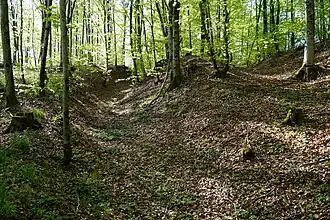 The old track linking Shaft No. 4 and Shaft No. 3