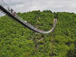 The Geierlay crossing a valley
