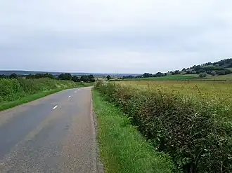 The road and landscape in Vianges