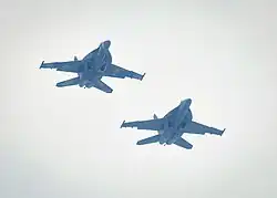 Two F/A-18E/F Super Hornets of VFC-12 perform a flyover at an airshow in Baltimore, 2022