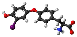 Ball-and-stick model of the 3′-monoiodothyronine molecule as a zwitterion
